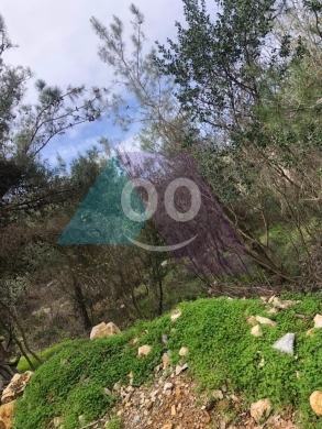 Lands for sale in Roumieh - 802m2 Prime land+sea view 4sale in Roumieh - أرض للبيع في روميةPM87L4