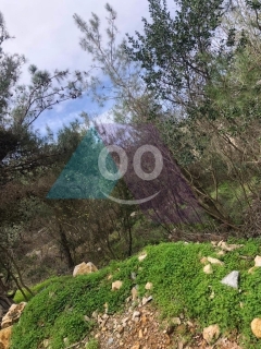 802m2 Prime land+sea view 4sale in Roumieh - أرض للبيع في روميةPM87L4