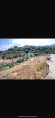 Lands for sale in Machha - للبيع ارضين مشحا مساحة ٢٣٠٠ م