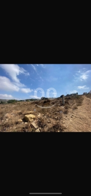 Lands for sale in Beino - للبيع ارض البرج مساحة ١٩٥٠ م