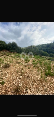 Lands for sale in Gebrayel - للبيع ارض جبرايل ٥٠٠٠ م موقع مميز
