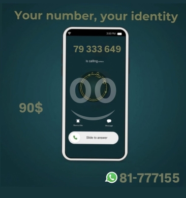 Other electronics dans Beyrouth - Alfa special numbers