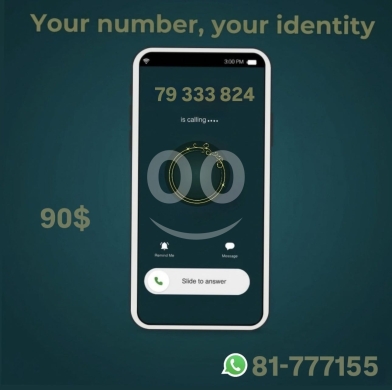Other electronics في اشرفيه - Alfa special numbers