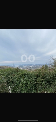 Lands for sale dans Bkah Sefrine - للبيع ارض بقصفرين ٤٠ الف متر