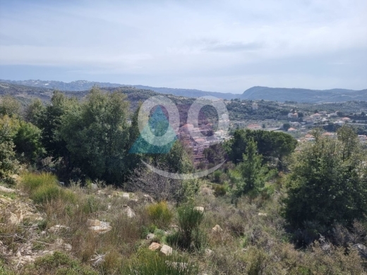 1208m2 land+prime location 4sale in Bchaaleh/Batroun - بشعلة/بترونGH54L1 — 4