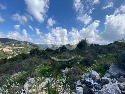 Lands for sale in Bejje - Land for Sale Bejjeh Jbeil 5520Sqm