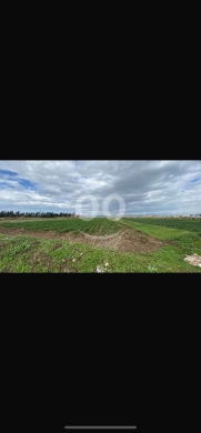 Lands for sale dans Tal Hemayra - للبيع ارض تل حميرة مساحة ١٤٦٣٤ م