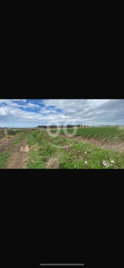 Lands for sale dans Tal Mehyan - للبيع ارض زراعية تل معيان ٩٠٠٠ م