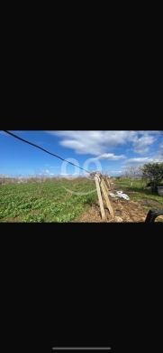 Lands for sale in Kachlak - للبيع ارض قشلق مساحة ٤٠٦٠ م