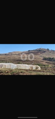 Lands for sale in Ghzaileh - للبيع ارض الغزيلة مساحة ٢٢٣٣ م