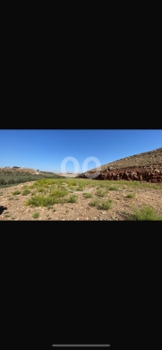 Lands for sale in Ghzaileh - للبيع ارض الغزيلة مساحة ١٤٥٠٠ م