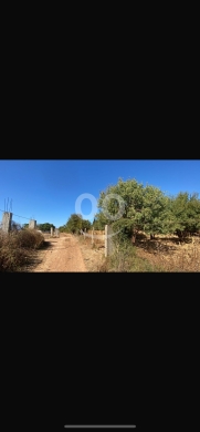 Lands for sale in Wadi Jamous - للبيع ارض وادي الجاموس ١٤٠٠ م