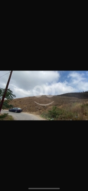 Lands for sale dans Bire - للبيع ارض البيرة ٤٥٠٠ م