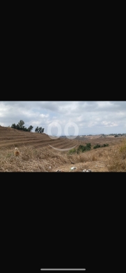 Lands for sale in Bire - للبيع ارض البيرة ٧٤٠٠ م