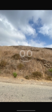 Lands for sale dans Mazraat Baldeh - للبيع ارض مزرعة بلدة ٣٠٠٠ م