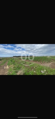 Lands for sale dans Minyara - للبيع ارض سهل منيارة ٩٠٠٠٠ م