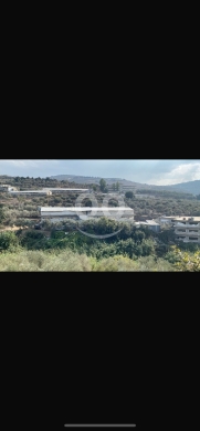 Lands for sale dans Minyara - للبيع مزرعة دواجن منيارة مساحة ٤٥٠٠ م