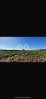 Lands for sale dans Minyara - للبيع ارض سهل منيارة ١٨٠٠٠ م
