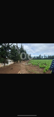 Lands for sale in Minyara - للبيع ارض منيارة ١٢٤٠ م