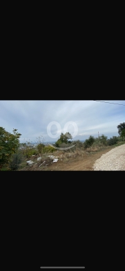 Lands for sale in Rahbeh - للبيع ارض رحبة بجوار مطعم نبع الفوار ٢٨٠٠ م