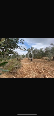 Lands for sale in Halba - للبيع ارض حلبا مساحة ٣٦٠٠ م بجانب معهد القبس