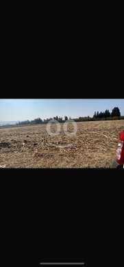 Lands for sale dans Halba - للبيع ارض السمونية مساحة ١٠٠٠٠ م