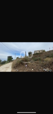 Lands for sale in Halba - للبيع ارض راس حلبا بجوار الكنيسة مباشرة ٥٩٤ م