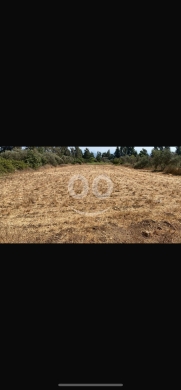 Lands for sale dans Halba - للبيع ارض السمونية مساحة ١٠٠٠٠ م