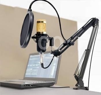 Condenser microphone — 3