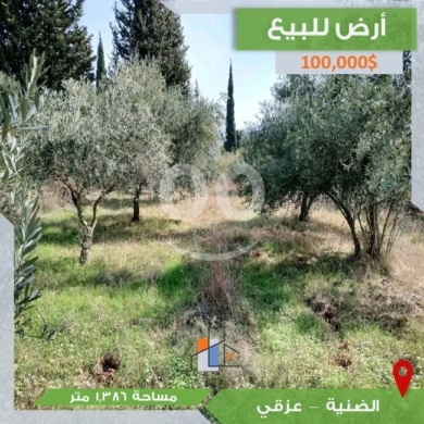 Lands for sale in Aazki - أرض للبيع في عزقي - الضنية بمساحة 1,386 متر مع 40 شجرة زيتون | 1,386 sqm Land for Sale in Izki