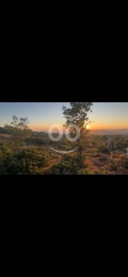 أرض مميزة للبيع في بمهريه بمساحة 1000 متر مربع | Prime Land for Sale in Bmehray, 1,000 sqm — 3