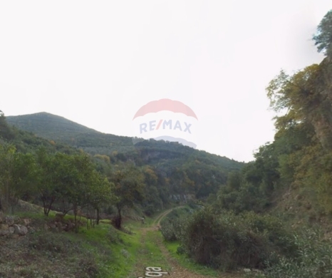 Lands for sale in Majdal - R9-3300 Land for Sale in Majdal Akkar - 136,000 m²أرض للبيع في مجدل عكار - 136,000 متر مربع