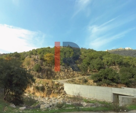 R9-3300 Land for Sale in Majdal Akkar – 136,000 m² — 3