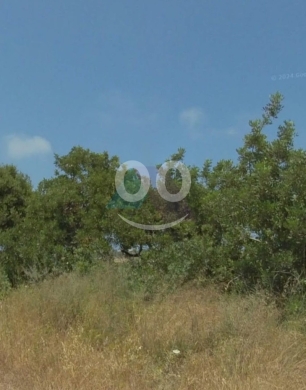 17457m2 Prime land+mountain view 4sale in Batroun - أرض للبيع في البترونTR32L25 — 3