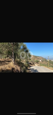 Lands for sale dans Machha - للبيع ارض مشحا ٩٥٠٠ م شارع عام مباشرة