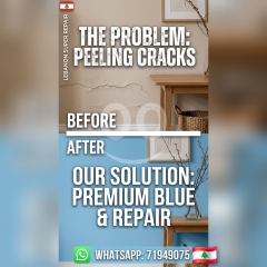 SATISFYING Wall Painting Transformation! From Cracked Walls to Modern Blue | Lebanon Super Rep