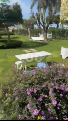 Other real estate in Ras-Meska - شاليه أرضي مميز للبيع في ميرامار 1