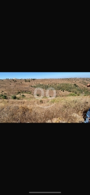 Lands for sale in Daousseh - للبيع ارض الدوشة مساحة ٩٧٠٠ م
