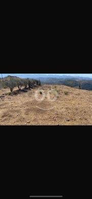 Lands for sale in Majd El - للبيع ارض المجدل ١٤٠٠ م