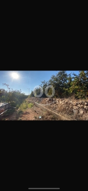 Lands for sale in Gebrayel - للبيع ارض جبرايل ١٥٠٠٠ م قريبة من الطريق العام