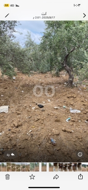 Lands for sale in Cheikh Mohamad - أرض واسعة للبيع في الشيخ محمد - موقع استراتيجي بجانب معهد القبس | Large Land for Sale