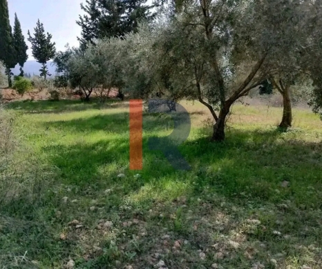 R9-3318 Land for Sale in Azki Danniyeh – 1338 m² — 2