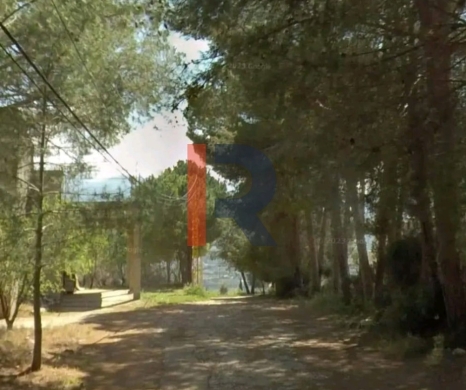R9-3318 Land for Sale in Azki Danniyeh – 1338 m² — 3
