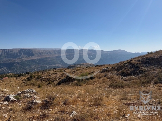 Lands for sale in Mazra'at el-Syad - أرض للبيع في مزرعة السيد (شربين) | Land for Sale in Mazraat El Siyed (Charbine)