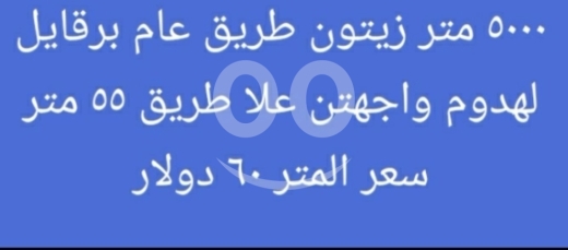Lands for sale dans Berqayel - أرض زيتون مميزة للبيع على طريق عام برقايل | Prime Olive Land for Sale on Berkayel Main Road