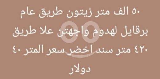 Lands for sale dans Berqayel - أرض زيتون شاسعة للبيع على طريق عام برقايل - ٥٠ ألف متر | Massive 50,000 sqm Olive Land for Sale