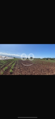 Lands for sale in Zouk Hadareh - أرض للبيع في عرقة بمساحة 6400 متر على الشارع العام | Prime Land for Sale in Arqa 6400 sqm Main Road
