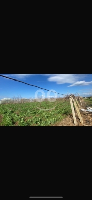 Lands for sale in Zouk Hadareh - أرض للبيع في عرقة بمساحة 2100 متر مربع قريبة من الشارع العام | Land for Sale in Arqa 2100 sqm Near M