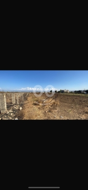 Lands for sale in Zouk Hadareh - أرض واسعة للبيع في عرقة بمساحة 17000 متر مربع | Large Land for Sale in Arqa 17000 sqm