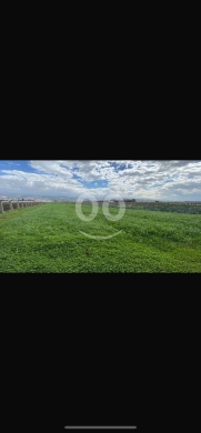 Lands for sale in Zouk Hadareh - للبيع ارض عرقة بجوار مصنع الخالدي ٥٣٠٠ م